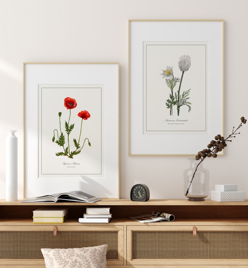 Poppy Botanical Print paired with a wildflower botanical print, cottagecore flower art above a wooden console shelf