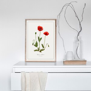 Poppy Botanical Print styled on a dresser, red field poppy wall art beside a glass vase and neutral decor accents