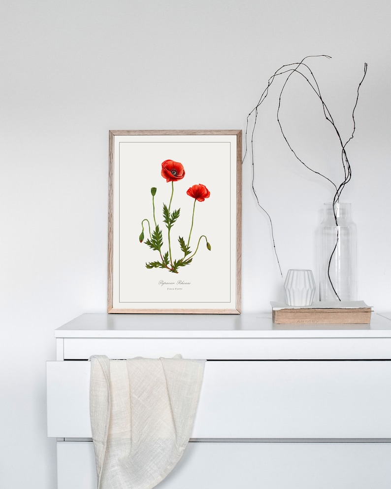Poppy Botanical Print styled on a dresser, red field poppy wall art beside a glass vase and neutral decor accents