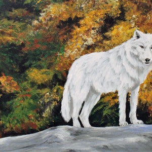 Wolf Art Print | Nature White Wolf wall art | Wildlife decor | 11 x 17 Fine art print