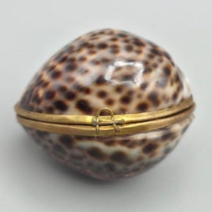 May include: A small, oval-shaped box crafted from a polished cowrie shell with a natural brown and cream spotted pattern. The shell is divided into two halves and secured with a thin, gold-toned metal hinge and a simple wire latch closure.
