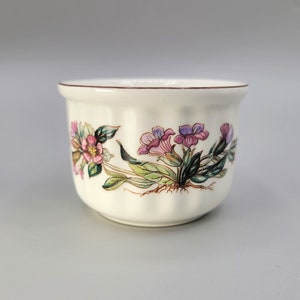 Villeroy & Boch Luxembourg Pulmonaria Officinialis Botanical Porcelain Ramekin