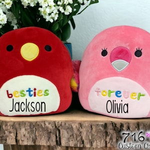 Best Friend Squishmallows, Personalized Squishmallows, Stuffed Animal, Custom Plush, Birthday Gift, Graduation Present, Besties Forever, BFF