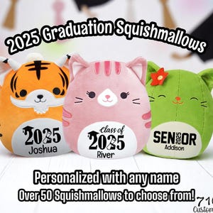 Class of 2025 Personalized Graduation Squishmallow, Graduation Gift for Grad, Preschool, College, Highschool, Pre-k, Custom Plush with Year