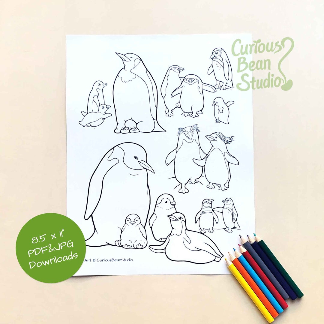 Penguins Coloring Activity Pages PDF JPG