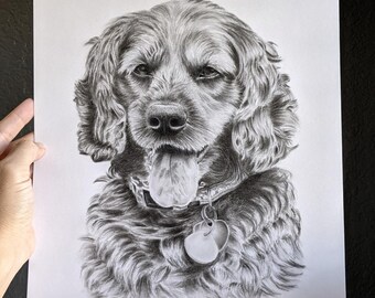 CURRENTLY FULL FOR 2022 - Pet Portrait - Custom Charcoal Drawing