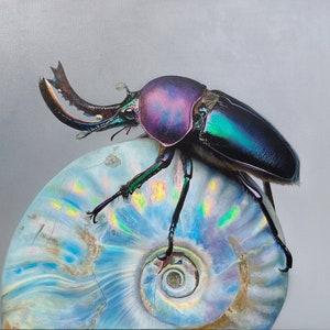 Buy Realistic Beetle,insect Art, Beetle Art, Painting of Beetles,a ...