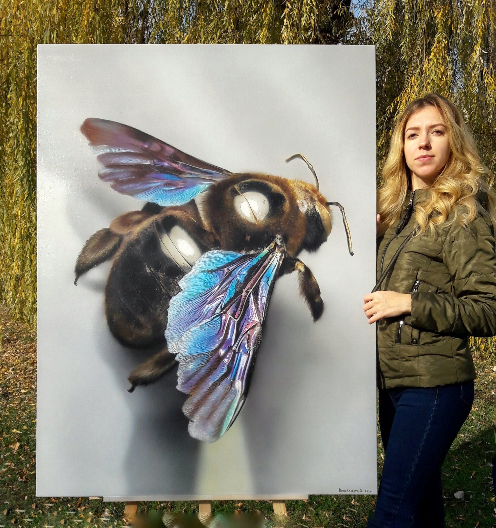 Xylocopa californica、大きな光沢のある羽を持つ蜂、青紫色の光沢の
