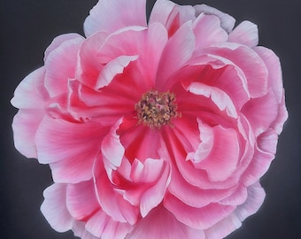 Pintura de peonías sobre lienzo, arte floral rosa, realismo, pintura de peonías, macrobotánica, arte floral, flores, peonías, hiperrealismo, acrílico