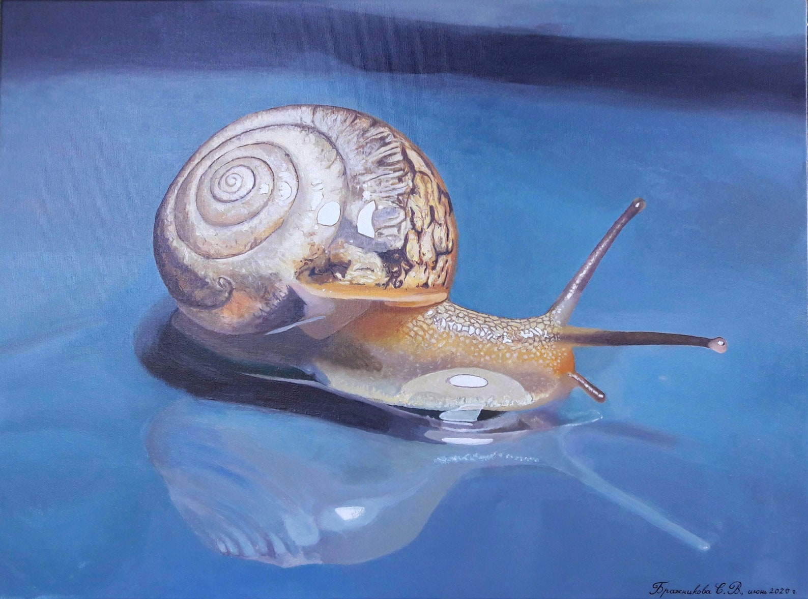 Snail Painting Wall art Realism Hyperrealism Original Etsy