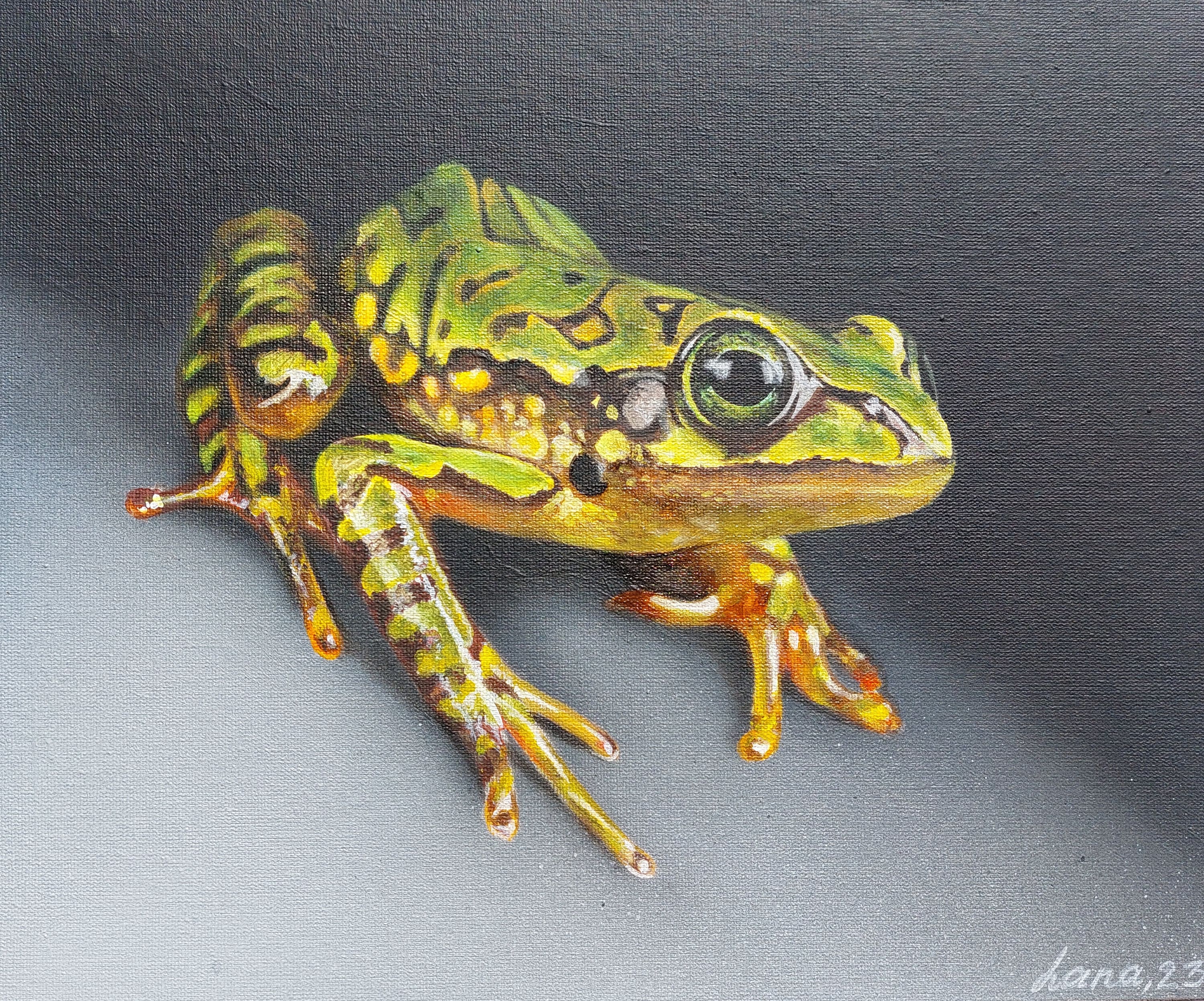 groene mooie kikker, hyperrealistische kikker, realistisch schilderij, dierenkunst