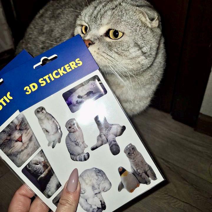 Grappige En Vrolijke Kat. Kat Jaren 70, 60. Ansichtkaart, Sticker, Clipart Met Een Kitten Vlakke Afbeelding V 31061510