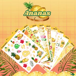 Set  journal ''Ananas''