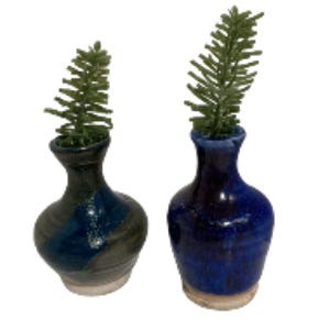 May include: Two small ceramic vases with a green leafy plant in each. The vase on the left is blue and green with a white base. The vase on the right is blue with a white base.