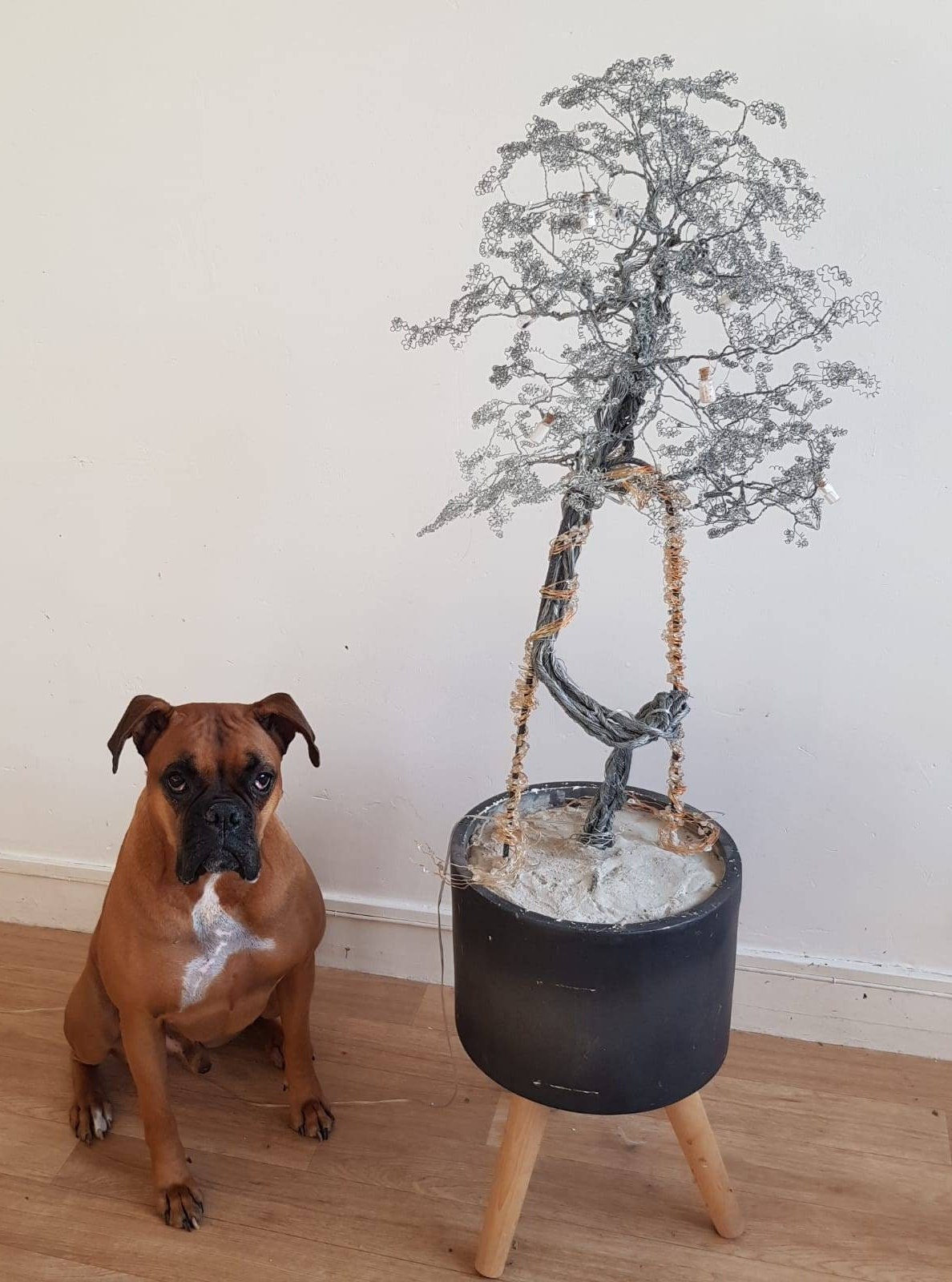 L'arbre Enchanté | Arbre en Fil d'aluminium Rempli de Fées