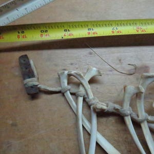 Native AMERICAN INDIAN Sioux 1800s DEER Rib Bone Ceremonial Rare, One ...