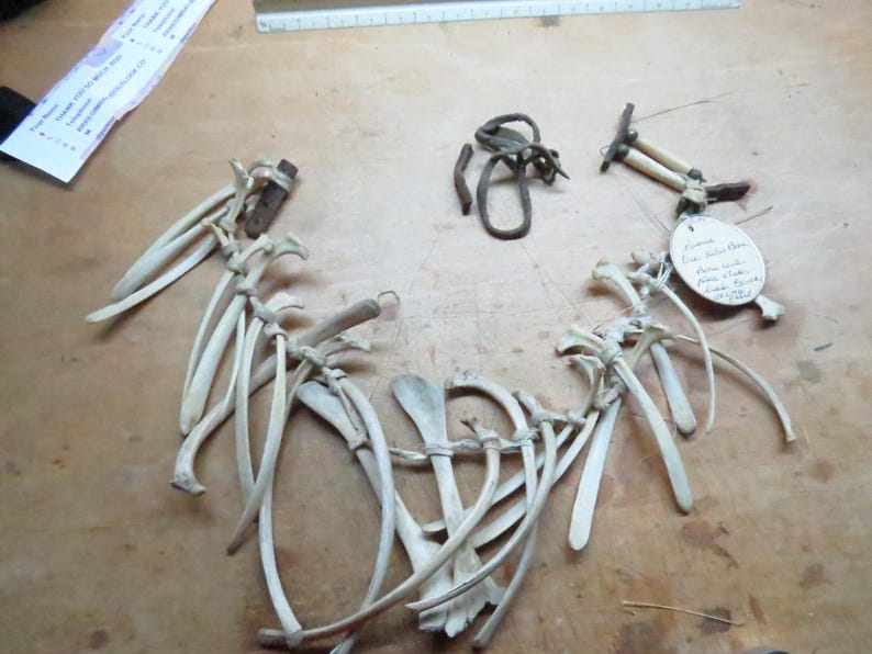 Native AMERICAN INDIAN Sioux 1800s DEER Rib Bone Ceremonial Rare, One ...