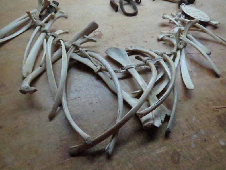 Native AMERICAN INDIAN Sioux 1800s DEER Rib Bone Ceremonial Rare, One ...