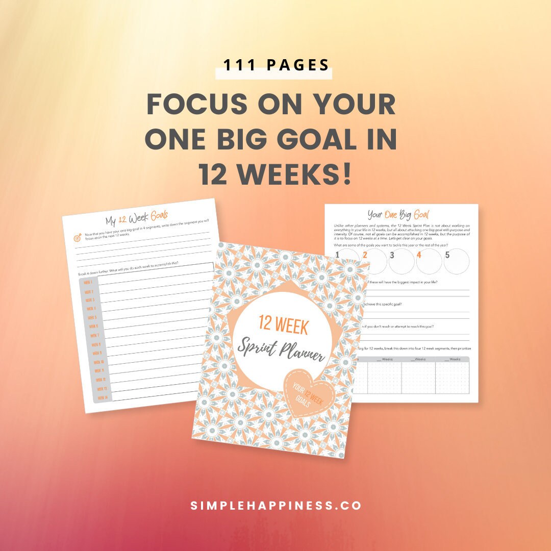 12 Week Goals Examples 12 Week Goal Planner - Etsy
