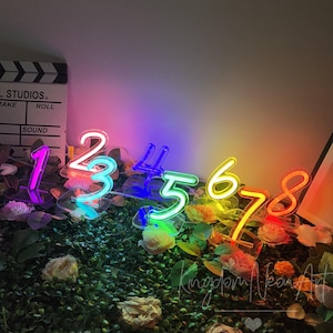 May include: A series of individual neon number signs from 1 to 8, each mounted on a clear acrylic base. The numbers glow in vibrant colors including pink, blue, green, yellow, and orange, arranged in a sequence across a bed of artificial greenery.