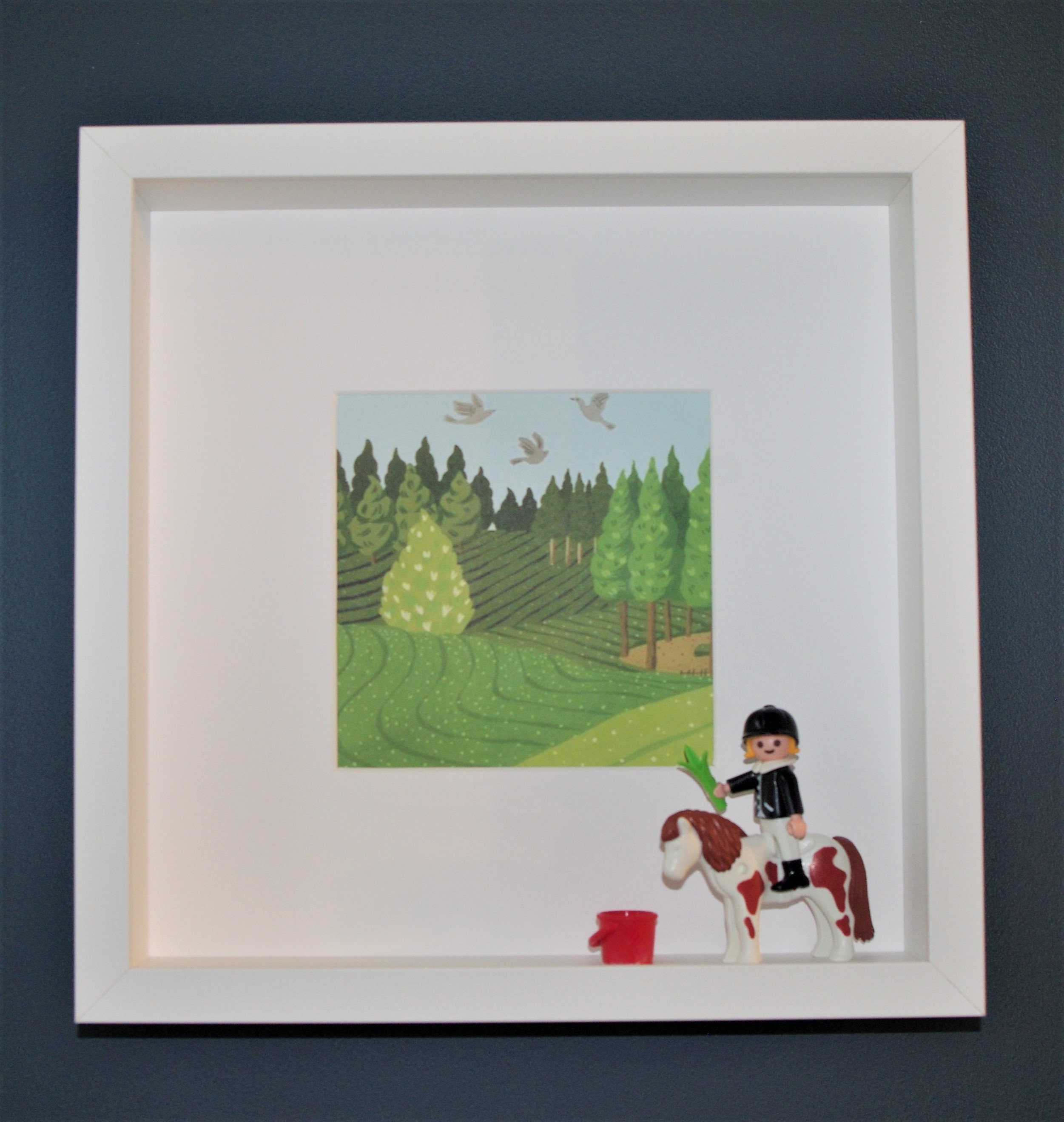 Cadre Figurine Playmobil - Prairie