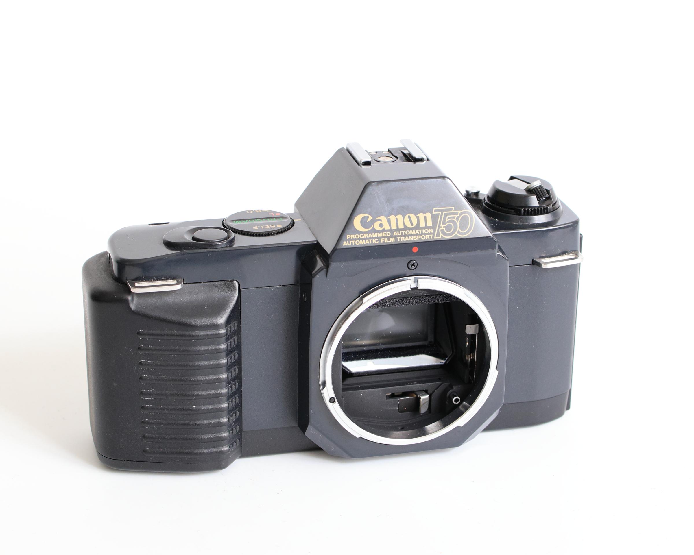 Canon t50 - Etsy 日本