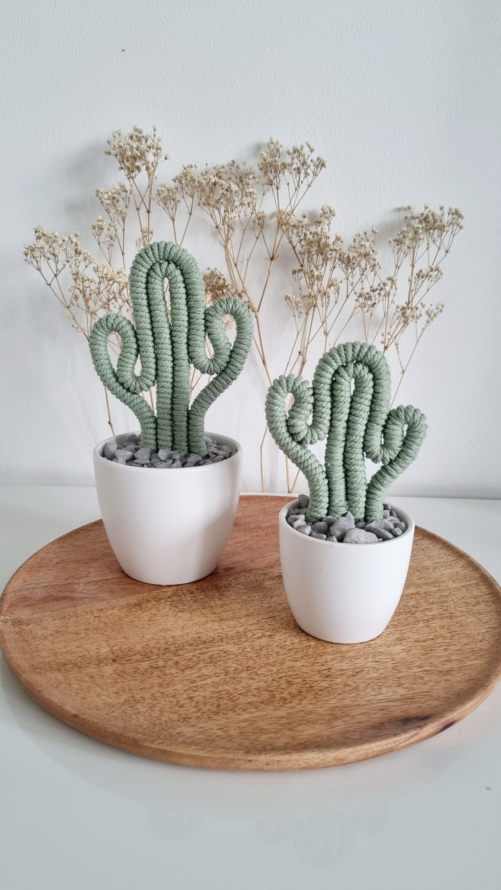 1 Stück Künstliche Minipflanze, Kaktus Ohne Topf, Ornament