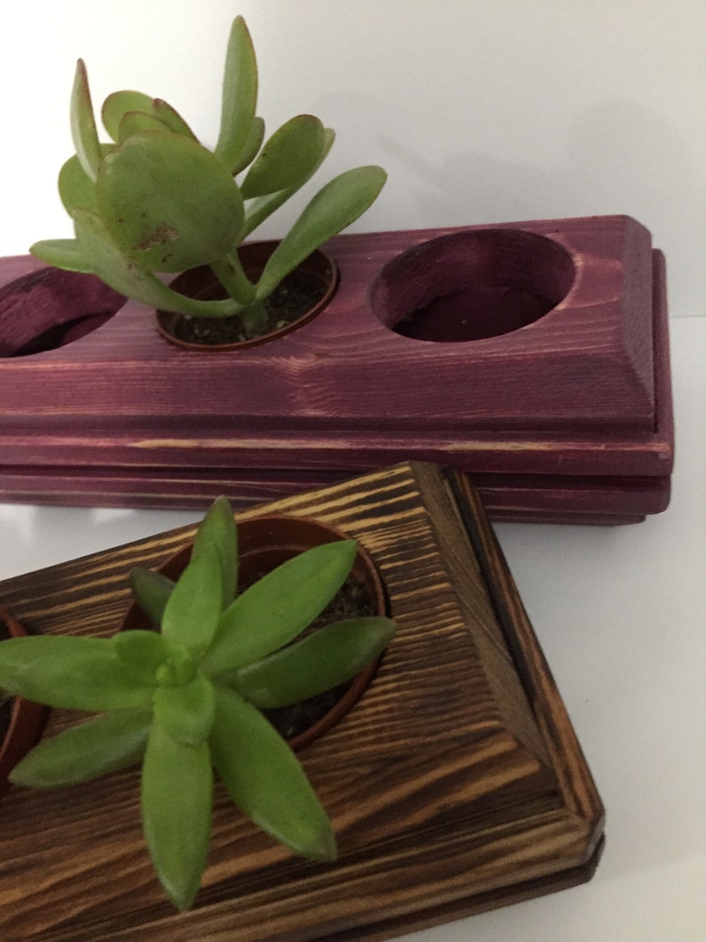 Damson Farbe & 2 Stück /Holz handgefertigt / Skulent | Etsy