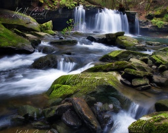 Hanes Hole Falls Photograph at Fiery Gizzard Trail in Tennessee, Nature Waterfall Photography, Living room, Office, Print Art