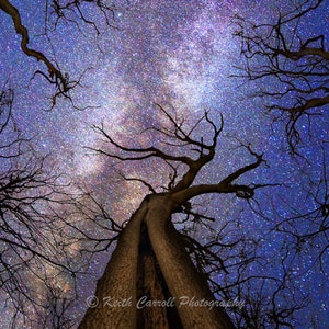 Milky Way Forest Photograph, Inspirational Starry Night Sky Photography, Living room, Bedroom, Wall Art