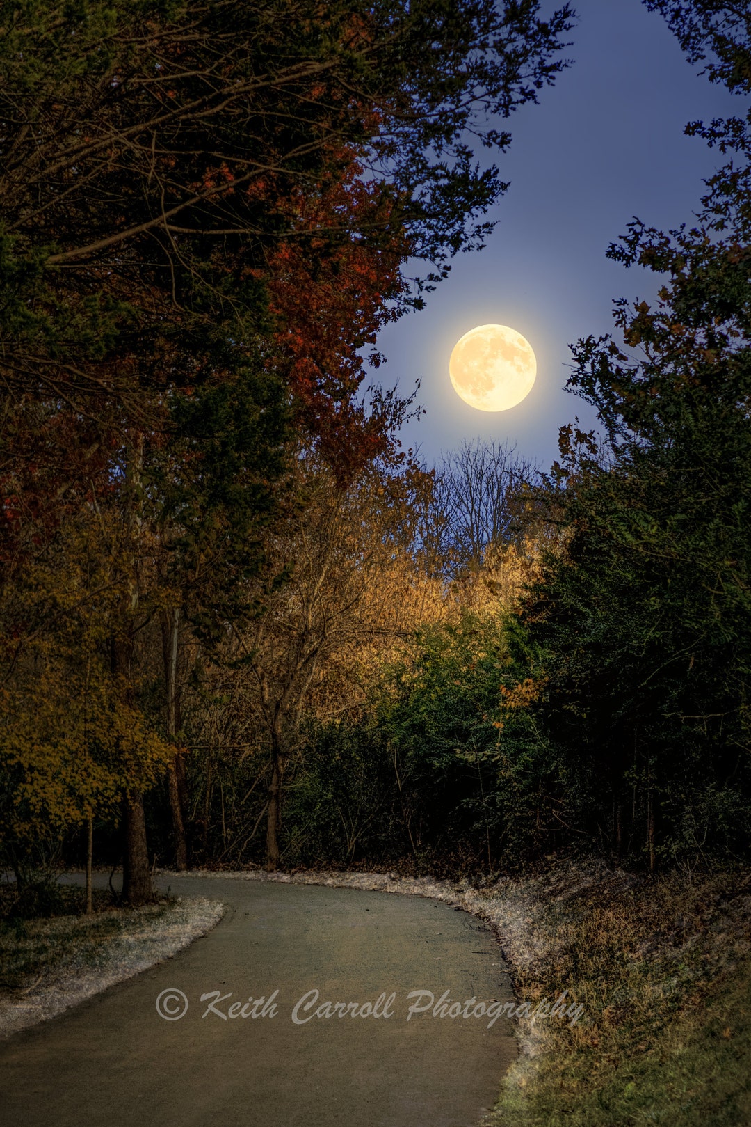 Fall Hunter's Moon Photograph, Autumn Landscape Photography Print
