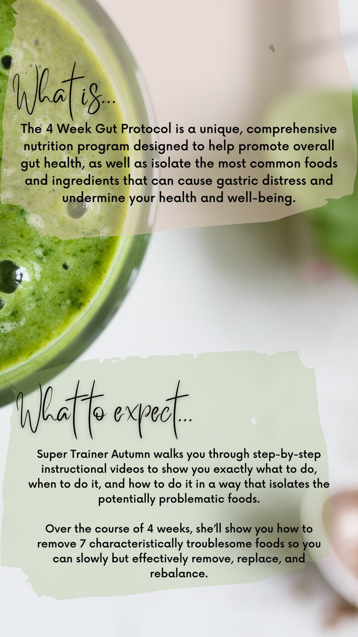 Beachbody&rsquo;s 4 Weeks for Every Body and 4 Week Gut Protocol - Etsy
