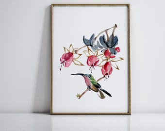 Impresión artística giclée en acuarela de colibrí y flores fucsia