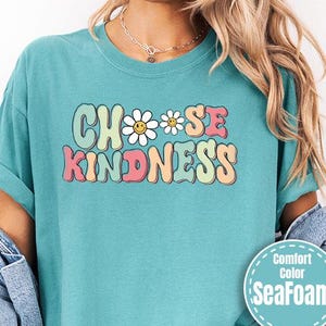 Comfort Colors®  Kindness  Shirt, Teacher Appreciation Gift, Be Kind School Shirt, Elementary Team Teacher Shirt, Motivational Shirt