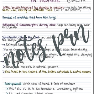 Nursing notes-resp and circulatory system in neonate
