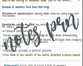 看護ノート - 新生児の呼吸と循環器系