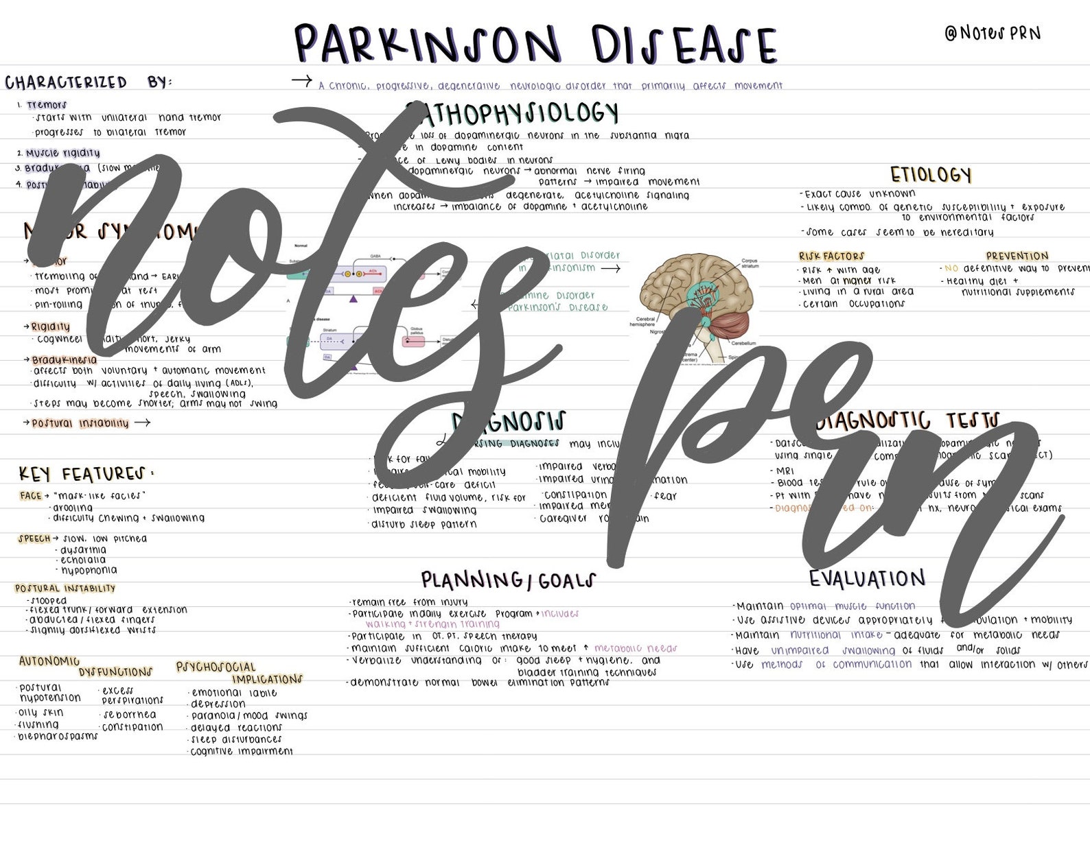 Nursing notes Parkinson disease Etsy