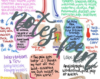 看護ノート-末梢血管疾患