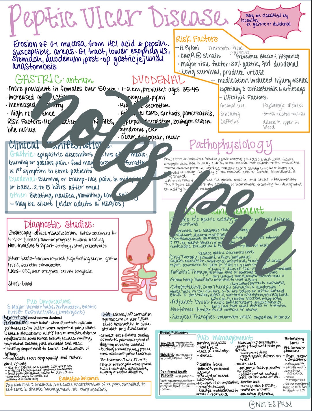 nursing-notes-peptic-ulcer-disease-etsy
