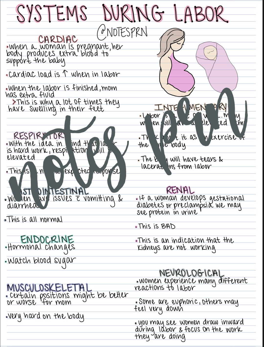 Nursing Notes-systems During Labor - Etsy