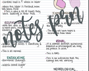 出産時の看護ノートシステム