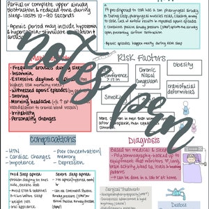 Nursing notes-obstructive sleep apnea