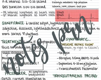 看護ノート - 一般的なリズム