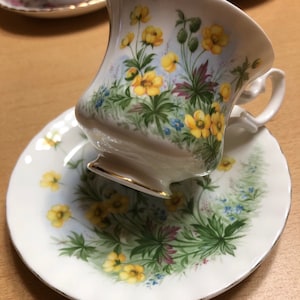 Royal Albert Un-named Montrose shape lady cup and saucer