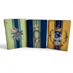 Set of 3 Upcycled Books French Country Shabby Chic Rustic Book Stack Decor