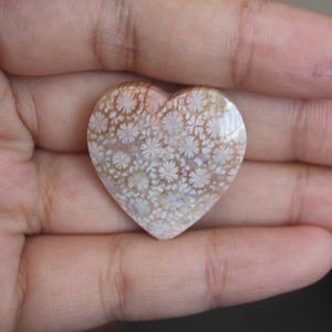 Fossil coral cabochon