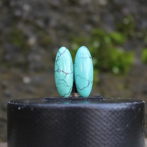 Turquoise Nevada pair