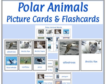 Polar Animals Picture Cards & Flashcards (Montessori): Digital