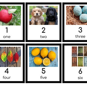 Puede incluir: Un conjunto de seis im&aacute;genes coloridas con n&uacute;meros y palabras. Las im&aacute;genes incluyen una manzana roja, dos cachorros, tres huevos azules, cuatro hojas de oto&ntilde;o, cinco limones y seis puertas coloridas.