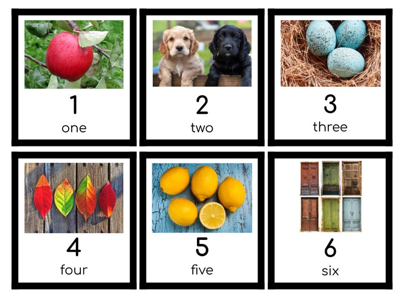 Puede incluir: Un conjunto de seis im&aacute;genes coloridas con n&uacute;meros y palabras. Las im&aacute;genes incluyen una manzana roja, dos cachorros, tres huevos azules, cuatro hojas de oto&ntilde;o, cinco limones y seis puertas coloridas.